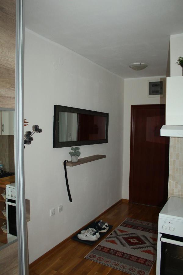 Downtown Apartment 노비사드 외부 사진
